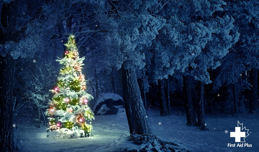 Holiday Safety Tips: Protecting Your Celebrations and Loved Ones - First Aid Plus