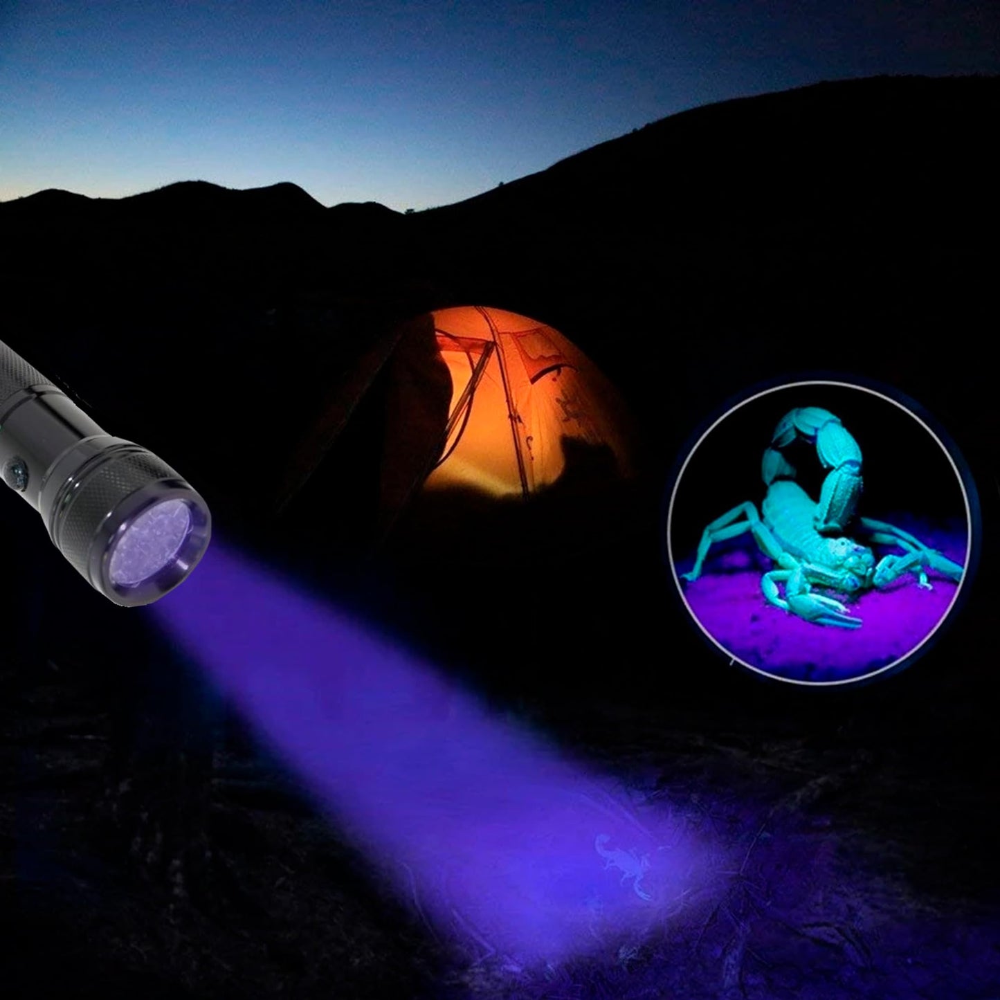 Portable UV LED Black Light Torch