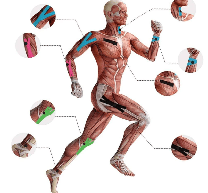 Kinesiology Tape, Elastic Therapeutic Sports Tape, 2" x 5.5 YD - First Aid Plus