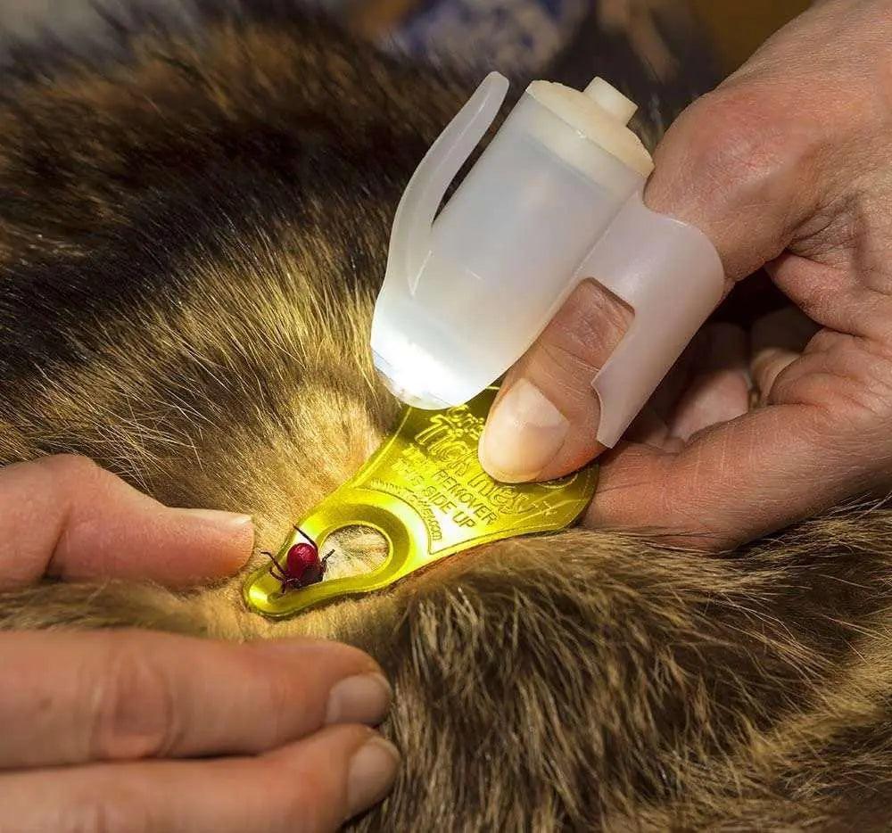 A person gently grooming a cat's fur using a TickSee Tick Removal Kit with light..