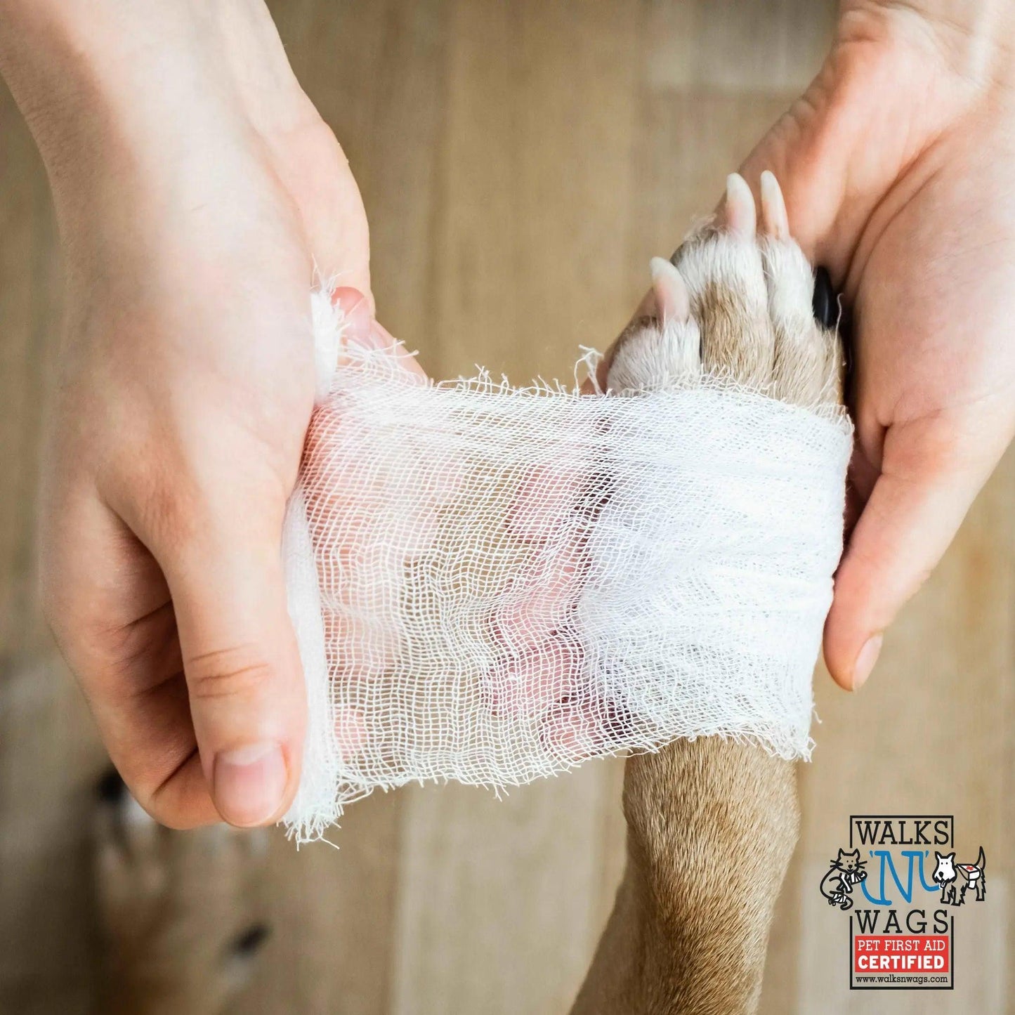 Pet First Aid
