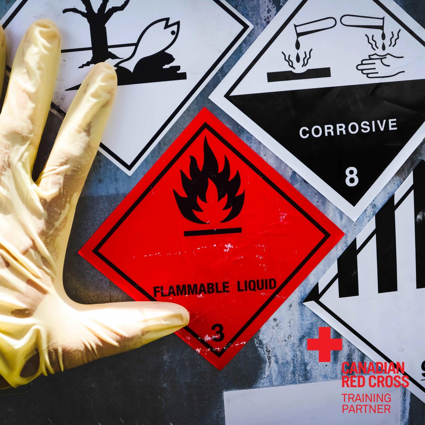 WHMIS Course (Workplace Hazardous Materials Information System Course)
