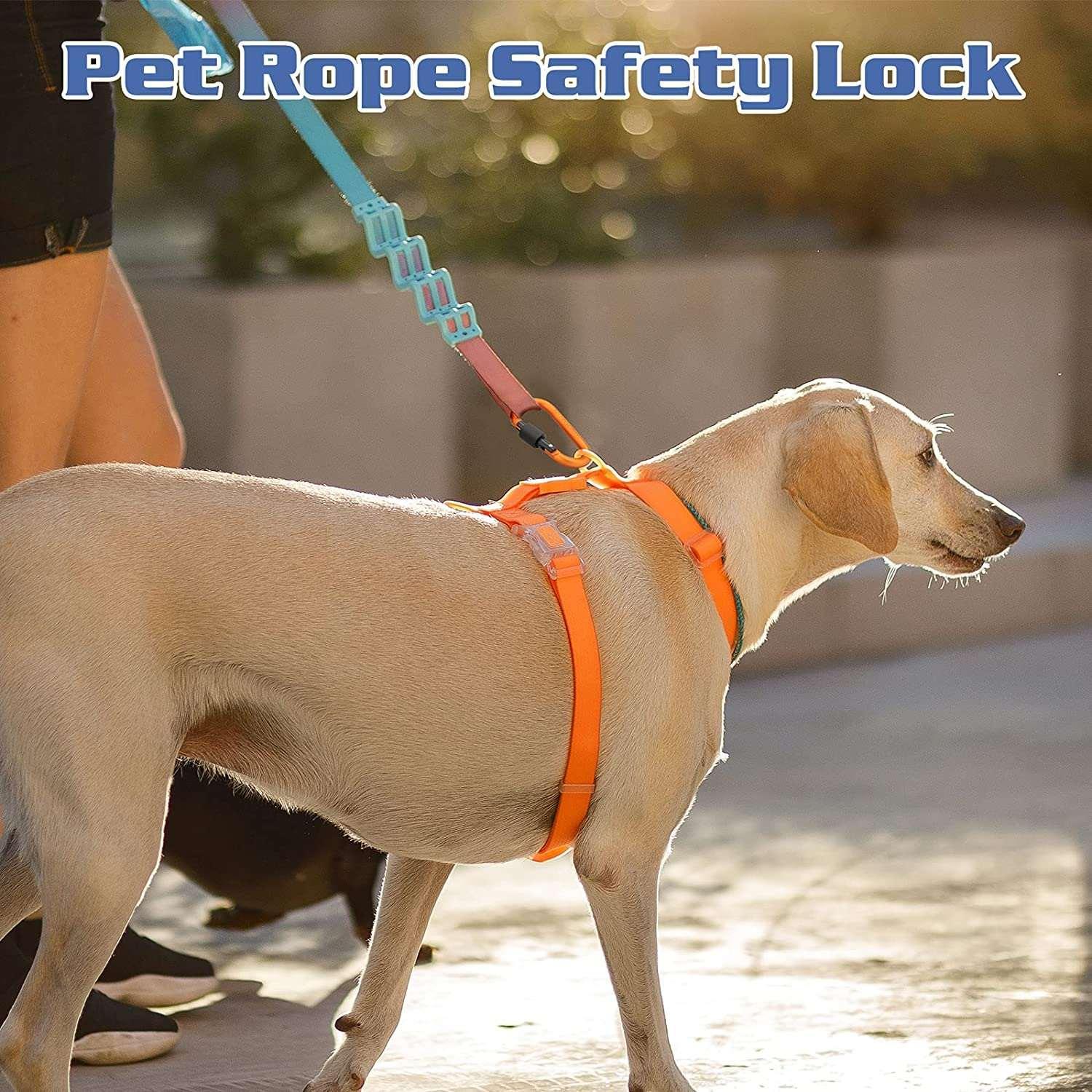 D-Ring Carabiner With Screw Lock - First Aid Plus