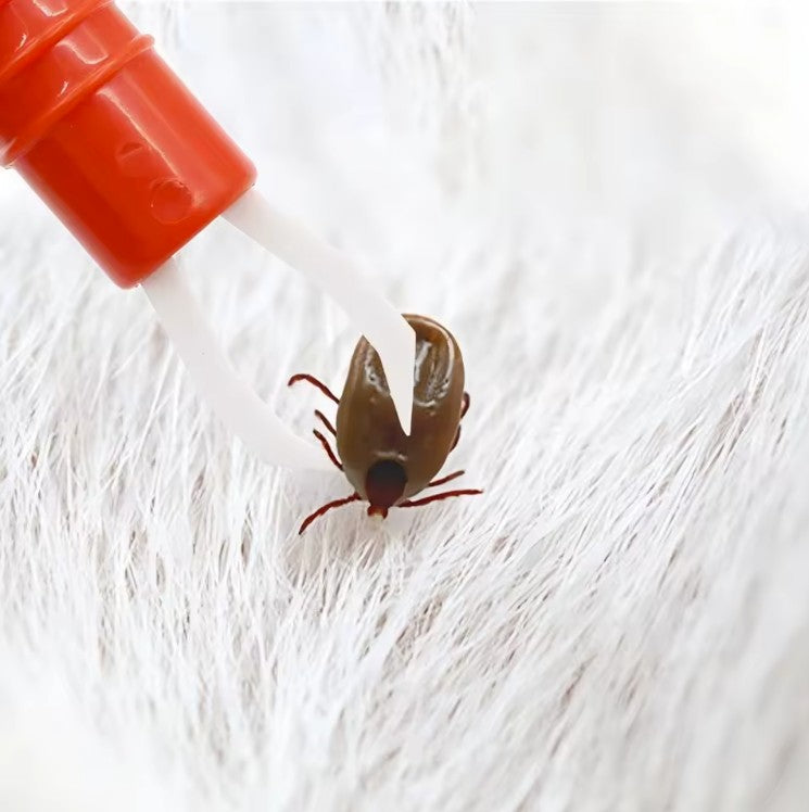 Tick Pen, Tick Removal Device