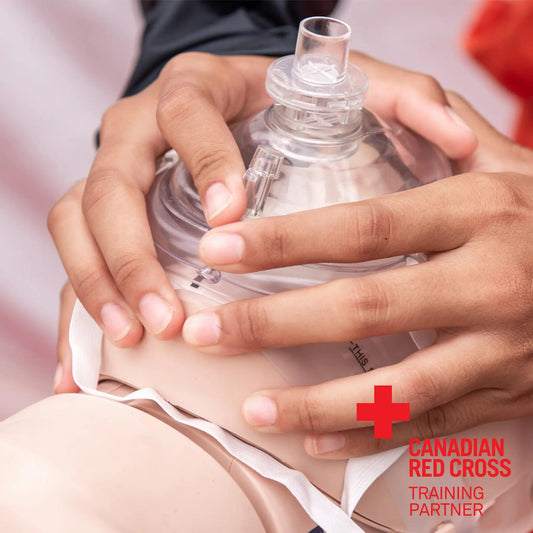 Basic Life Support (BLS) - Recertification Course by Canadian Red Cross - First Aid Plus 
