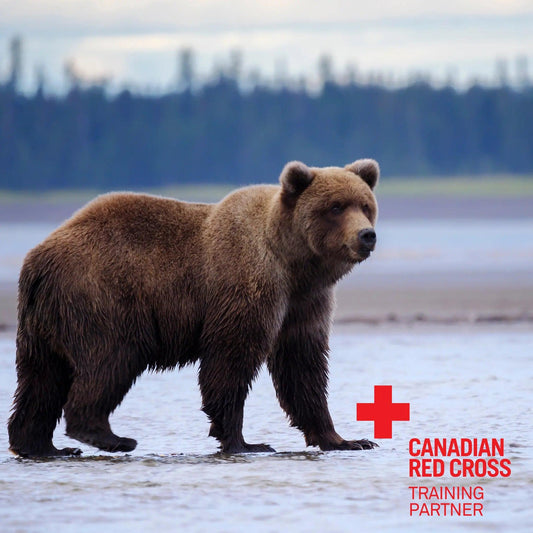 Bear Aware: Travelling in Bear Country - First Aid Plus 